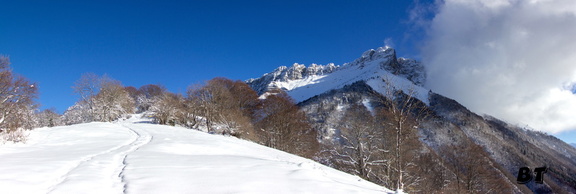 IMG 6039-6041_180