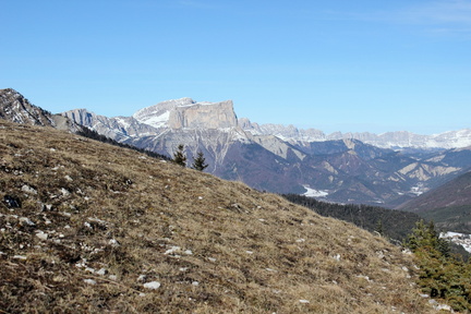 IMG_2753