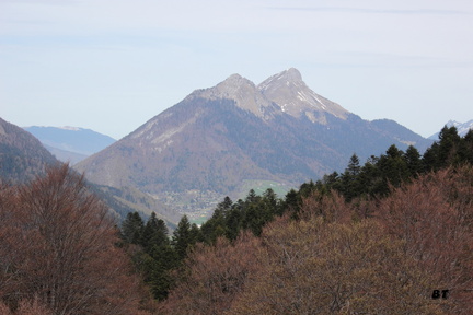 IMG_4276
