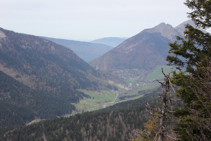 IMG_4278