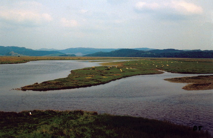Ecosse0010