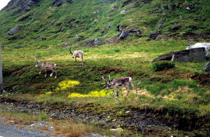Norvege_87_0064