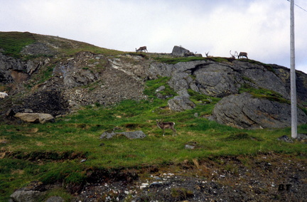 Norvege_87_0065