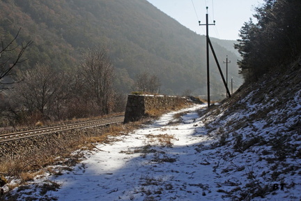 33-IMG_3252