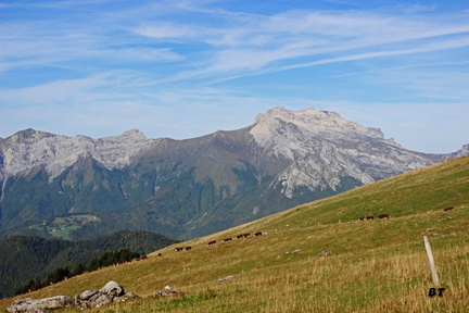 IMG_0261