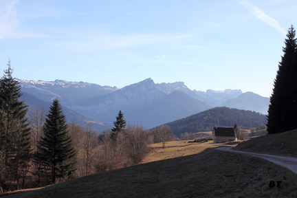 IMG_5852