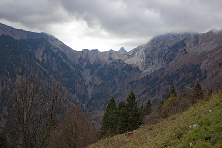 IMG 7416
