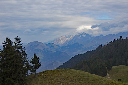 IMG 7423