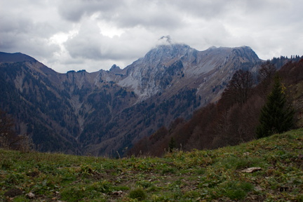 IMG 7424