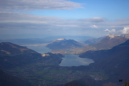 IMG 7425