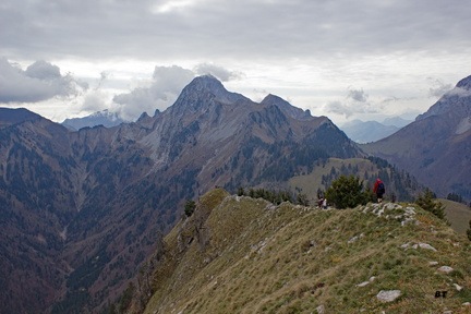 IMG 7426