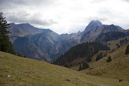 IMG 7431