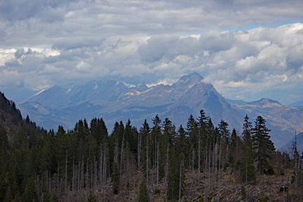 IMG 7436