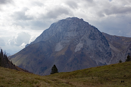 IMG 7437