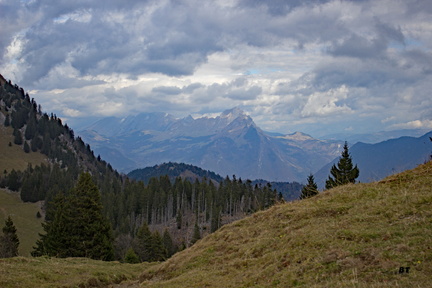 IMG 7438