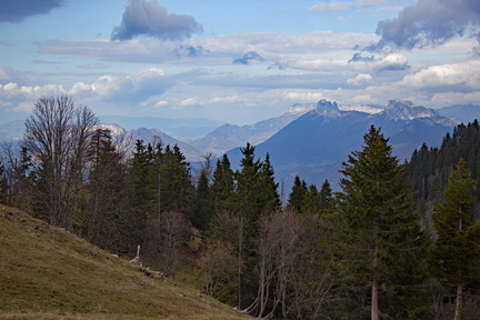 IMG 7439