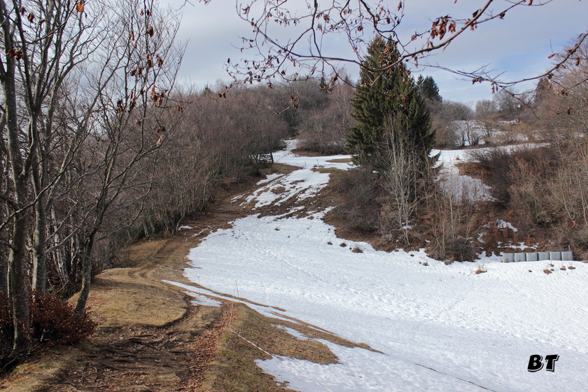 IMG_7636.jpg