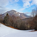 IMG 7637