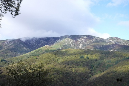 DSCF0156