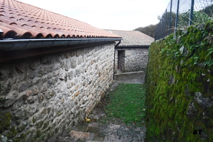 DSCF0160