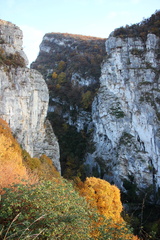 IMG 9493