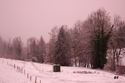 IMG 9513