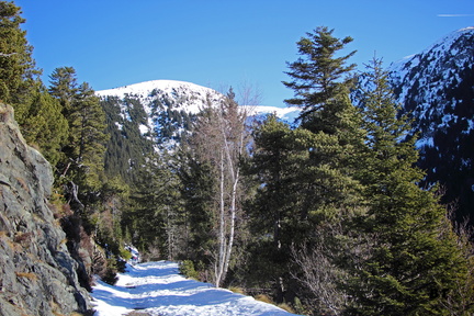 IMG 9515