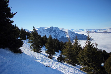 IMG 9516