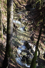 IMG 9608