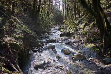 IMG 9609