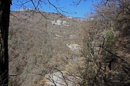 IMG 9611
