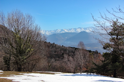 IMG 9615
