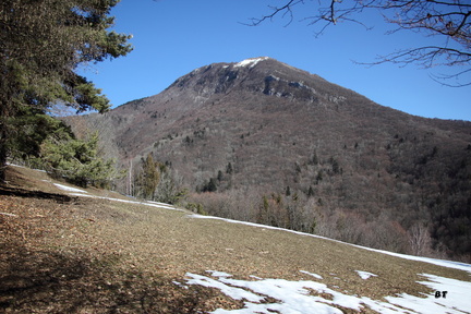IMG 9616