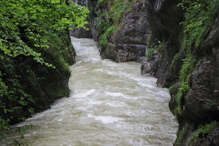 IMG 0245