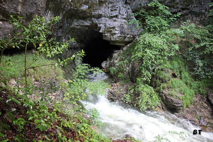 IMG 0248