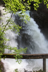 IMG 0258
