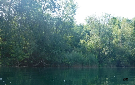 DSCF0344