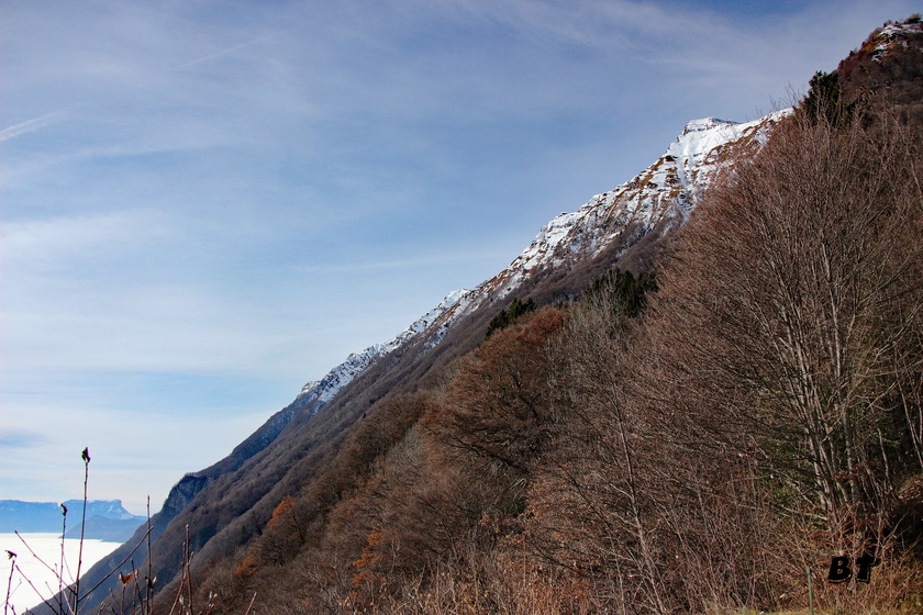 IMG_1211.jpg