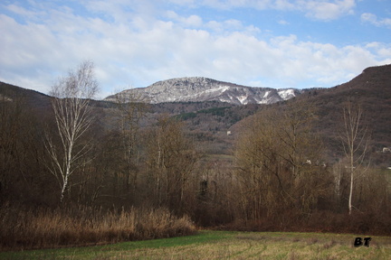 IMG 1255