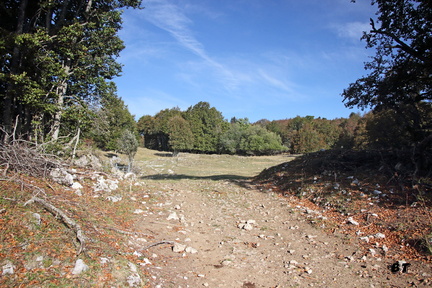IMG 2020