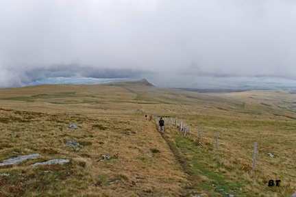 DSCF0507
