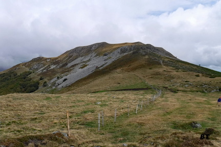 DSCF0515