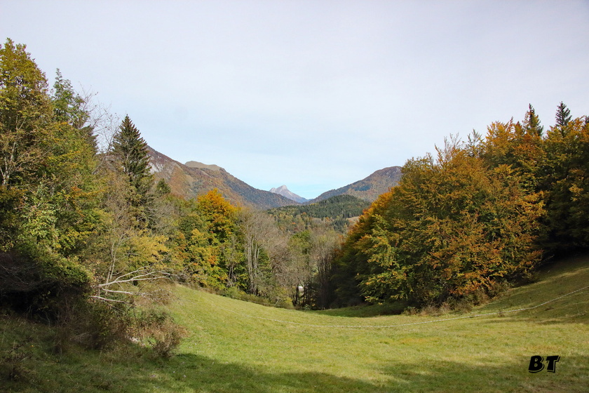 IMG_3604.jpg