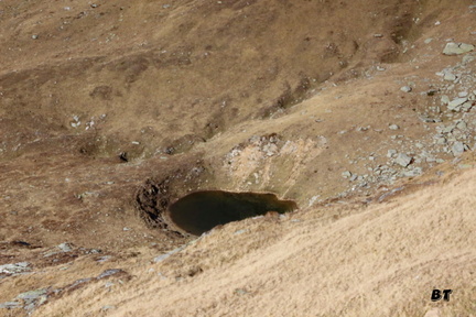 IMG 3744