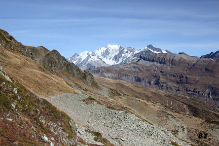 IMG 3775