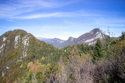 IMG 4884
