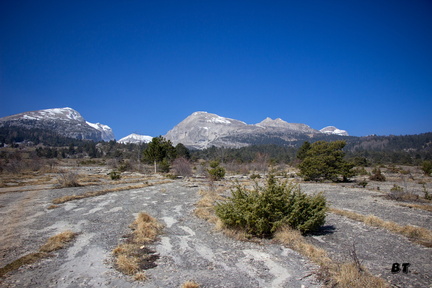 IMG 4969