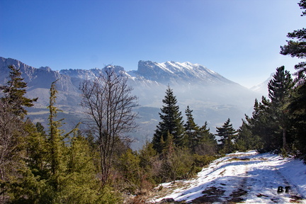 IMG 4970