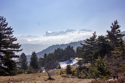 IMG 4971