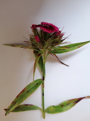 2023-06-19T10 23 42+02 00